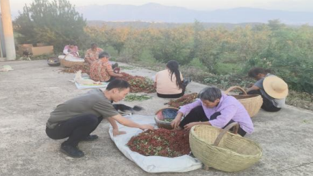 鄉(xiāng)村振興工作動(dòng)態(tài)(第172期)